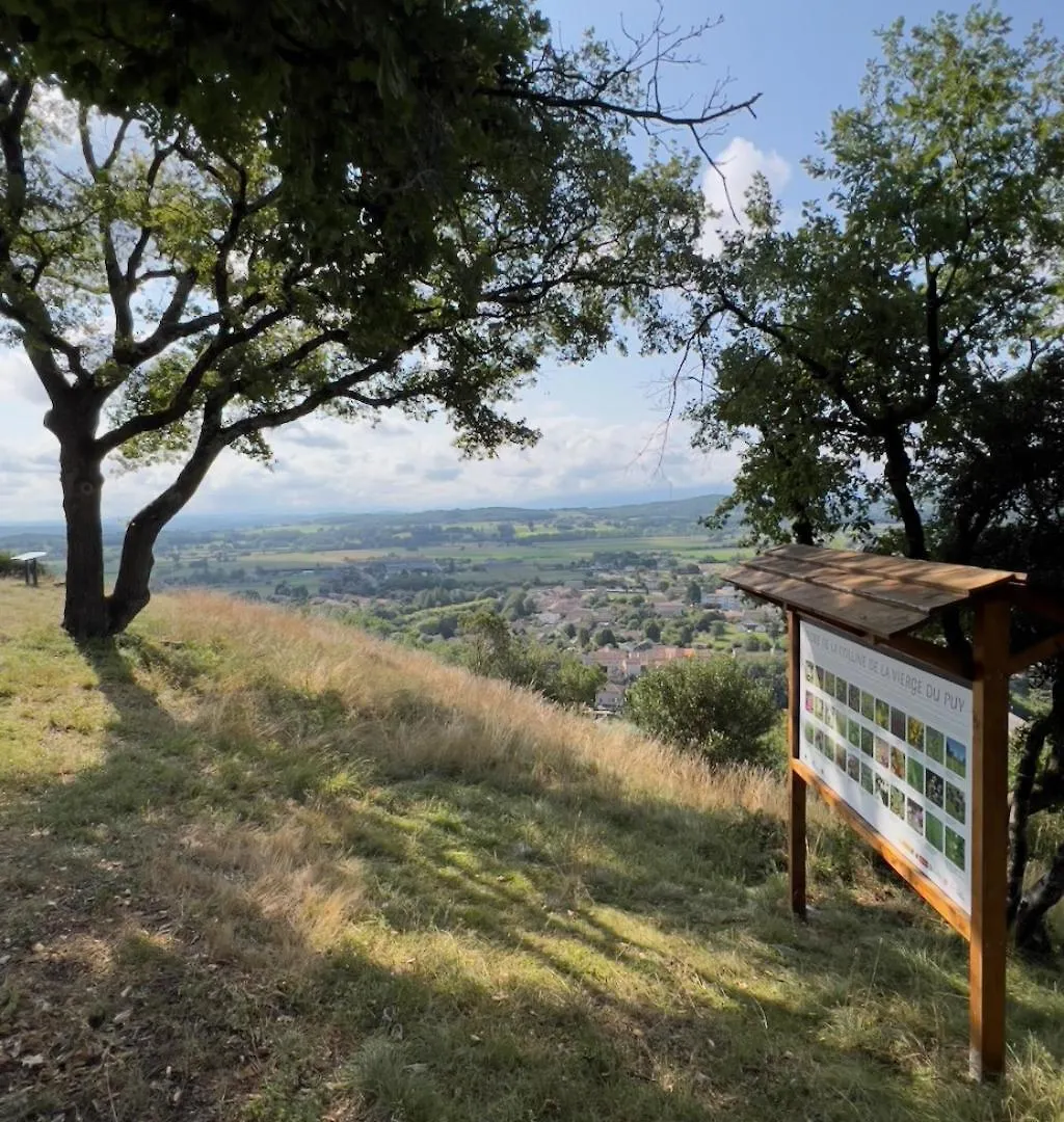 Bed & Breakfast Villa Rouleur Saint-Martory